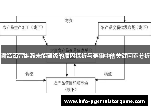 谢浩南曾维瀚未能晋级的原因探析与赛事中的关键因素分析