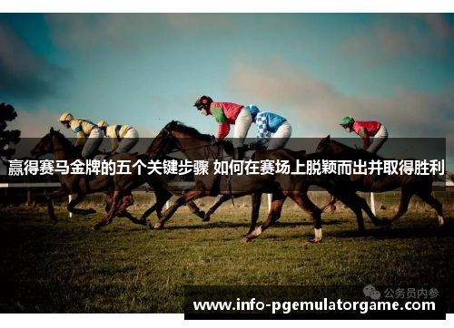 赢得赛马金牌的五个关键步骤 如何在赛场上脱颖而出并取得胜利