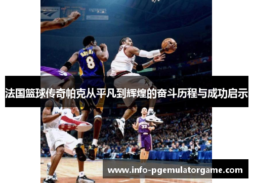 法国篮球传奇帕克从平凡到辉煌的奋斗历程与成功启示